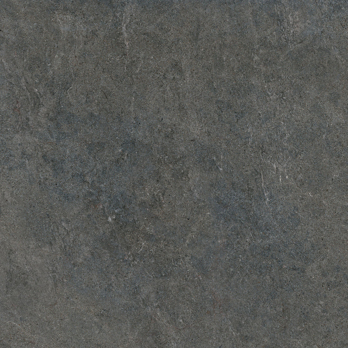 TAU Caribbean Graphite 60x60 Rec