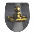 WC-bril van duroplast HG RELAXING FROG met softclose en afneembaar