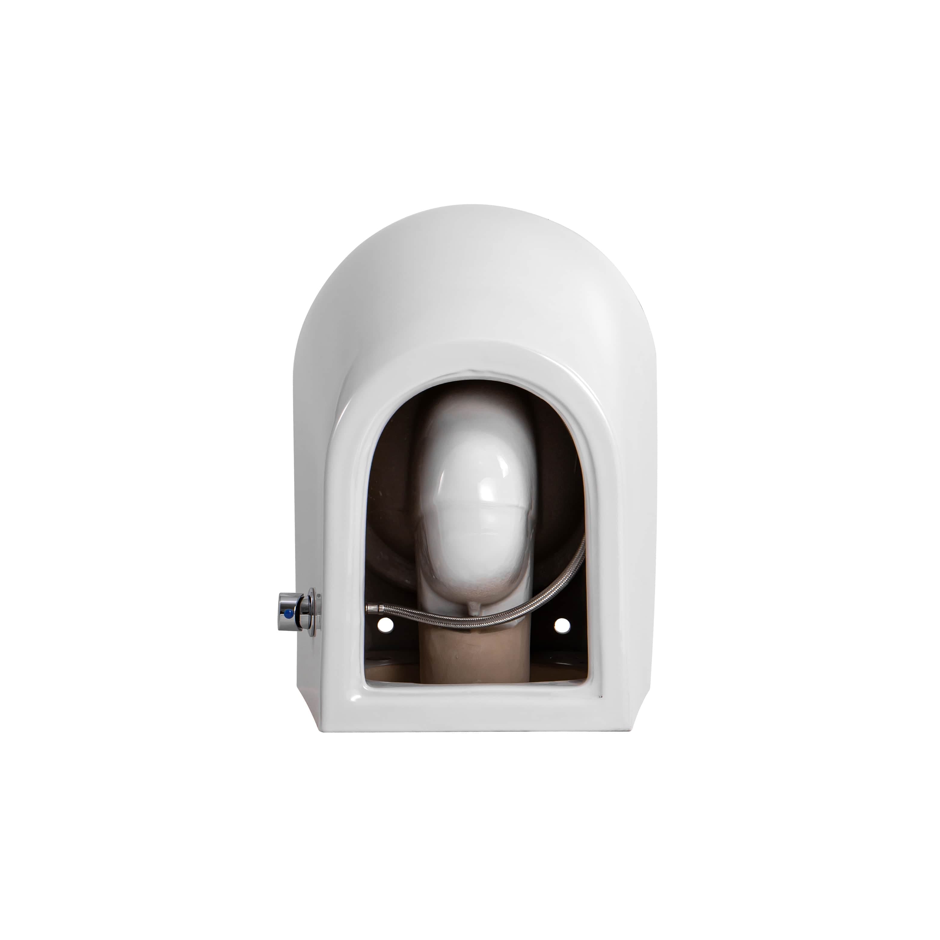 DARLO WC SUSPENDU AVEC BIDET - SANS BRIDE - AVEC ROBINET BIDER EAU FROIDE - SANS ABATTANT - COMPACT 49 CM - BLANC BRILLANT