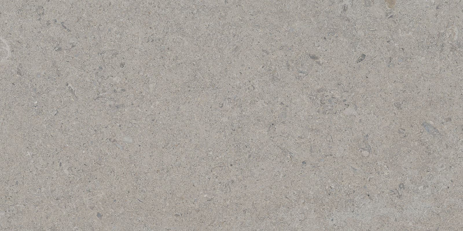 CALCARE SILVER 30X60(T)C SP