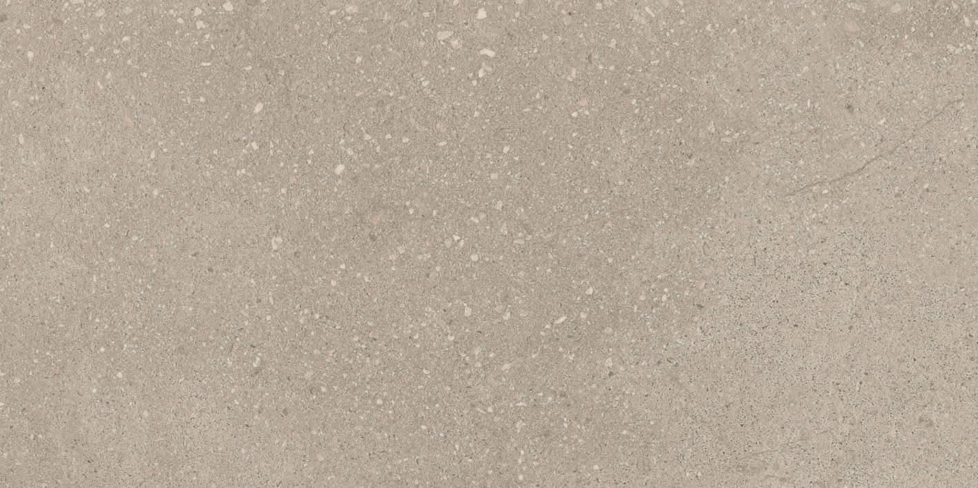 INTEGRA GREIGE 30X60 (C) REC