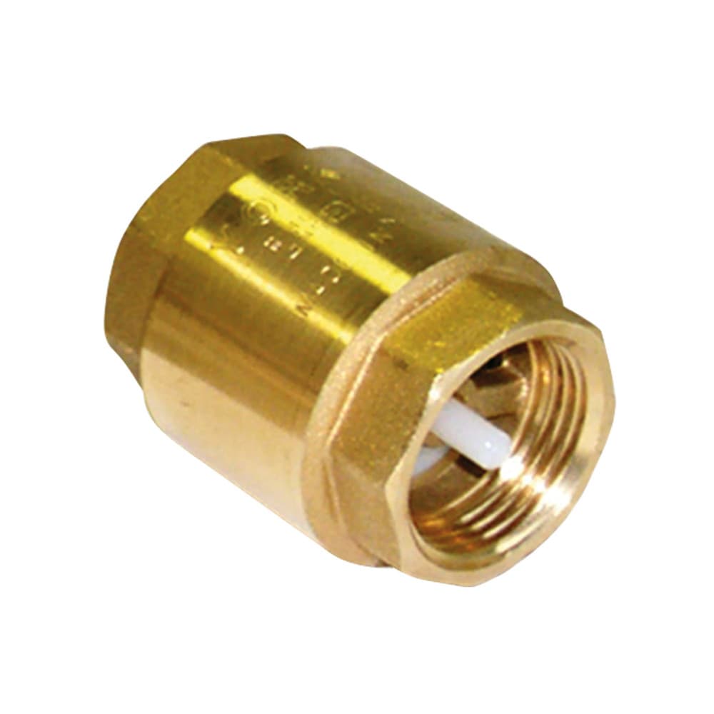 clapet anti-retour DN32 PN10 5/4"F