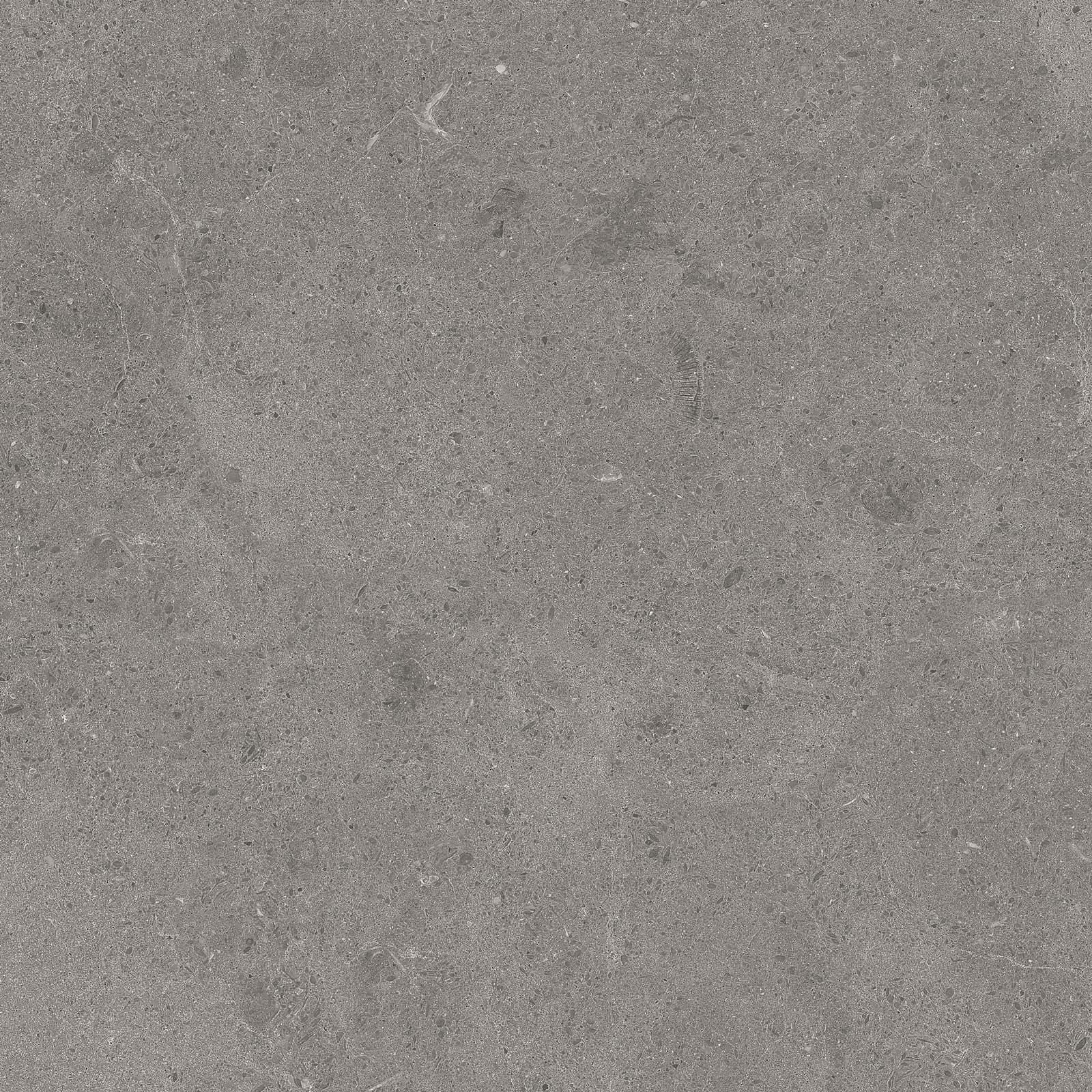 SERENASTONE GRAY 60x60n(C) REC