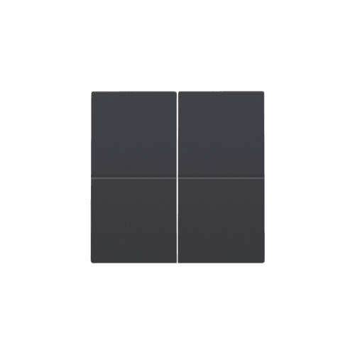 Clé double, pour variateur sans fil (Hue®, Bluetooth®, EnOcean®, KNX®), couleur anthracite coated