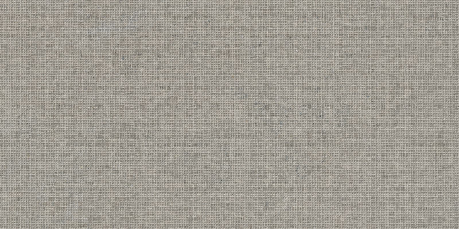 DC CALCARE GREIGE 60X120(T)C REC