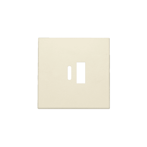 Set de finition pour double chargeur USB-A et USB-C intelligent, couleur cream