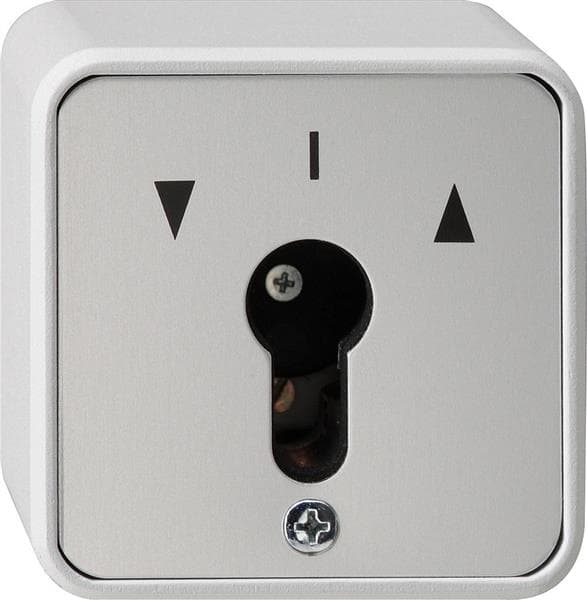 Interrupteur à clé 10 AX 250V~ pour tous les demi-cylindres profilés DIN Gris interrupteur à 2
