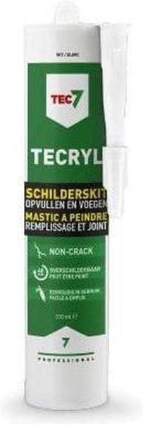 Tecryl Mastic à peindre professionnel