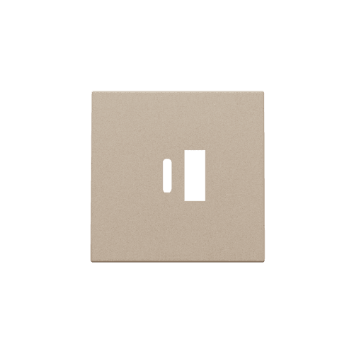Set de finition pour double chargeur USB-A et USB-C intelligent, couleur champagne coated