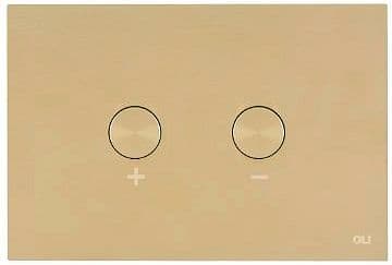 PLAQUE DE COMMANDE 2 TOUCHES BLINK PNEUMATIQUE WHITE GOLD