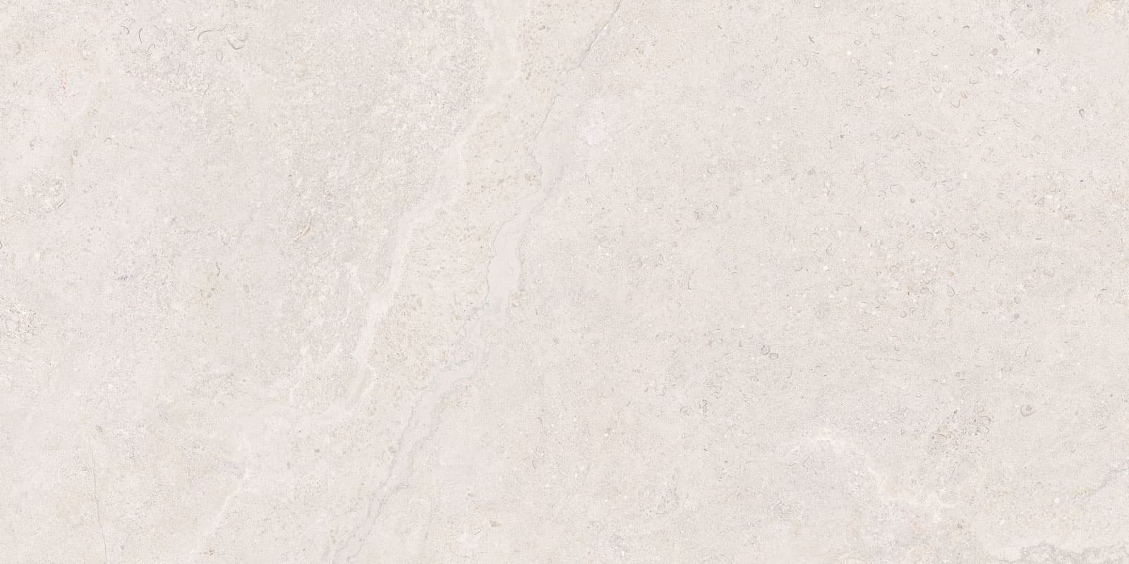 DORSET WHITE 60×120(n) ADZ