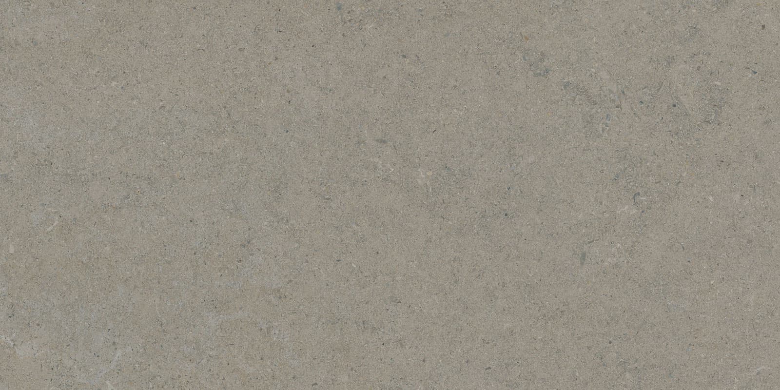 CALCARE GREIGE 60X120(T)C SP