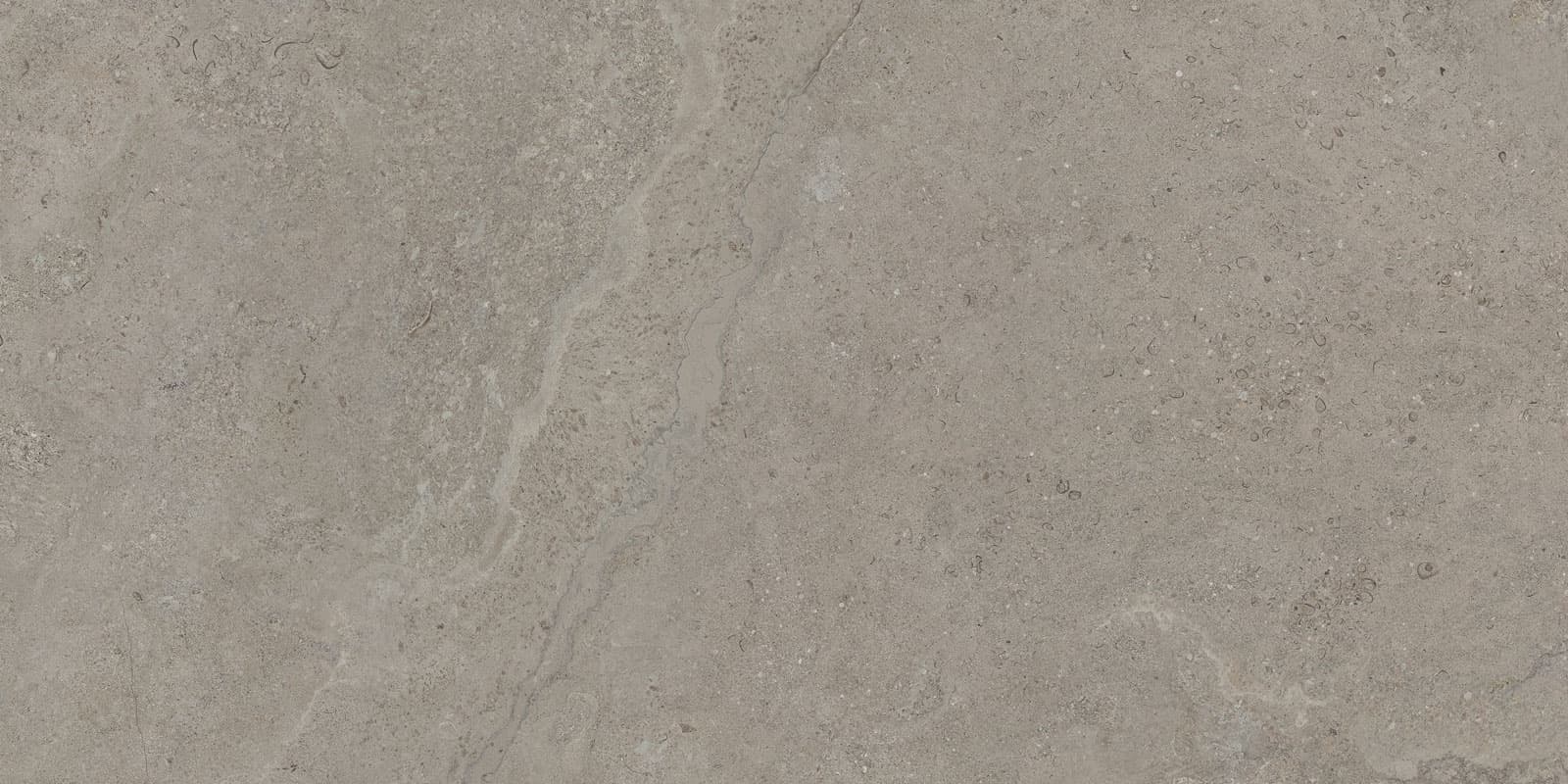 DORSET GREIGE 60×120(n) REC