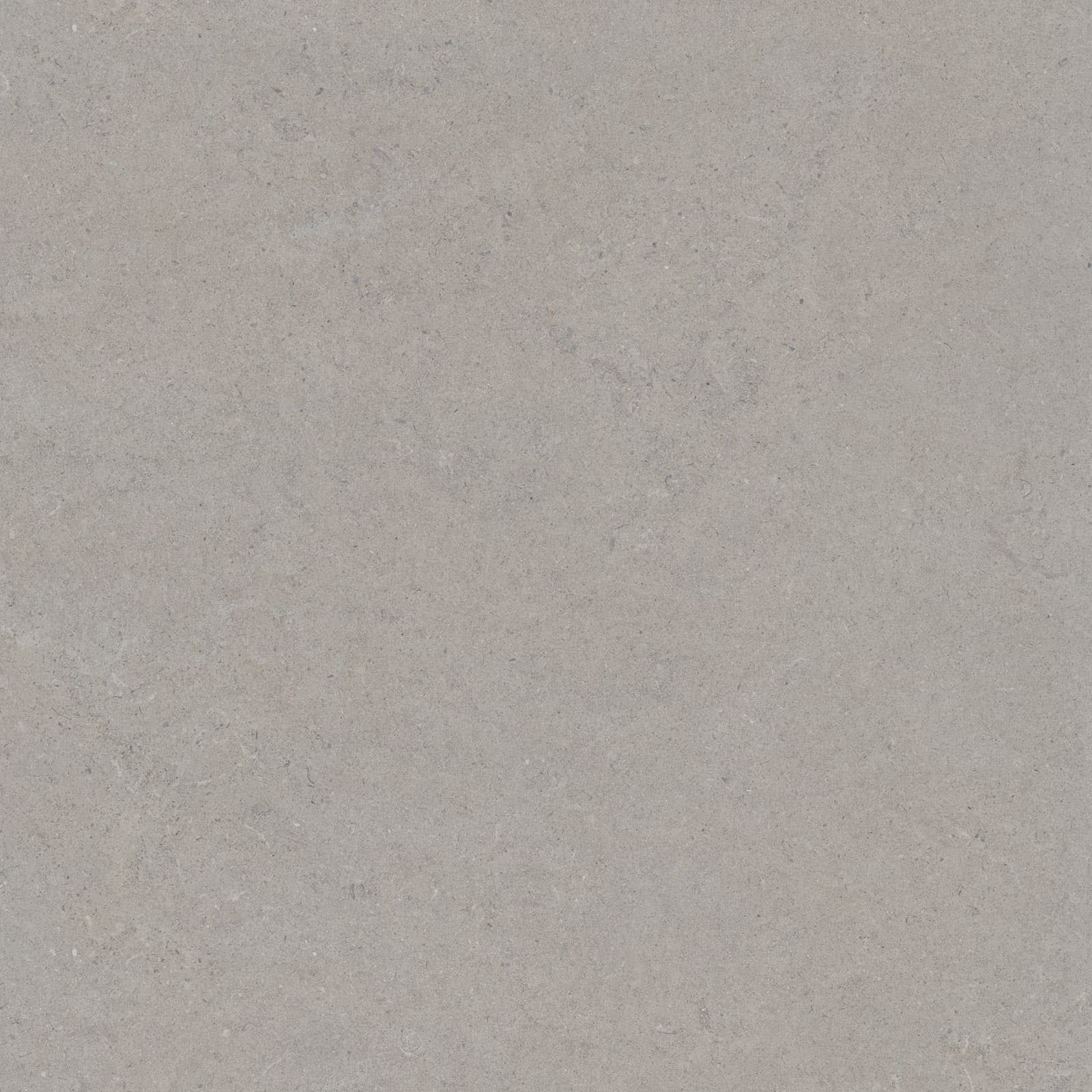 CALCARE SILVER 160X160(8MM) BRU