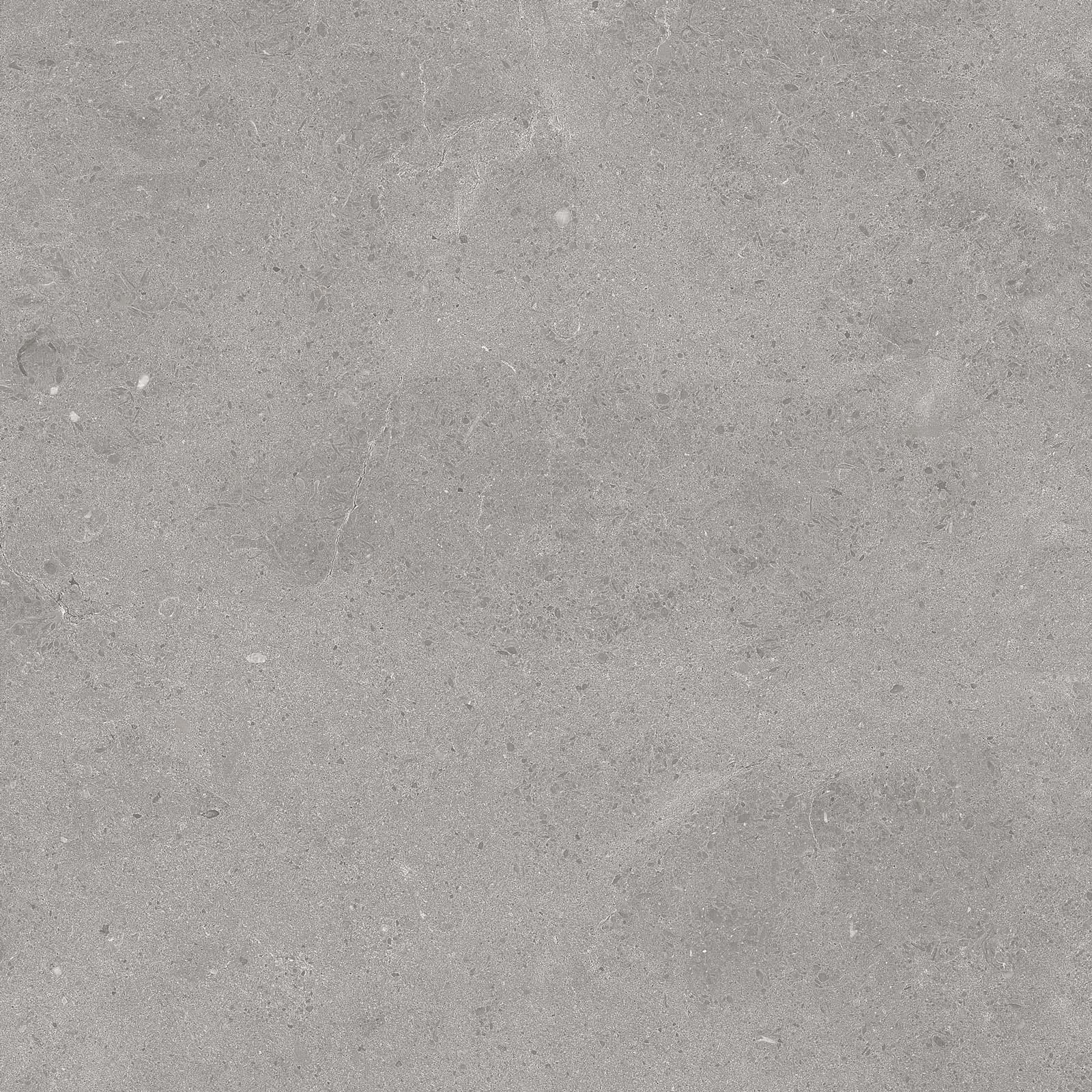 SERENASTONE SILVER 60x60n(C) REC