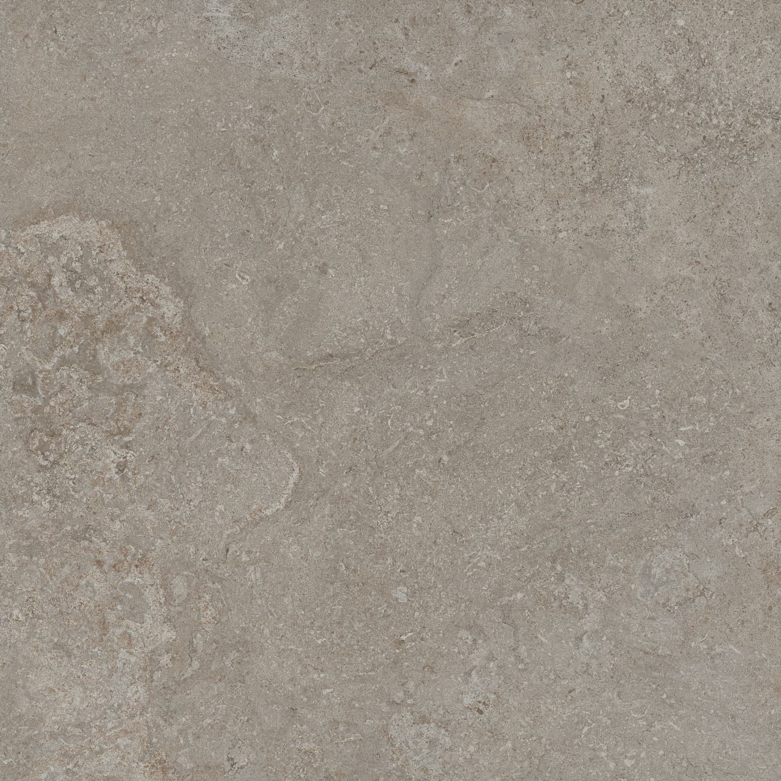DORSET GREIGE 60x60n(C) REC