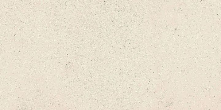 PALOMASTONE WHITE 30X60 REC