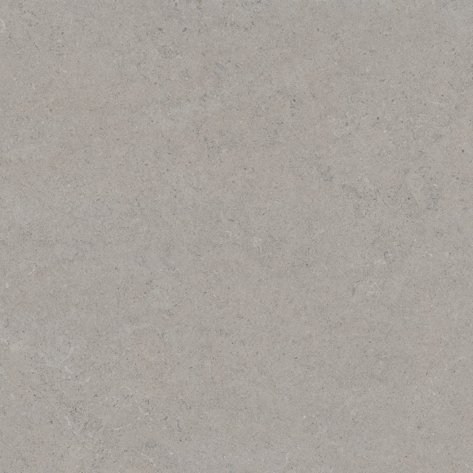 CALCARE SILVER 120X120(t) SP