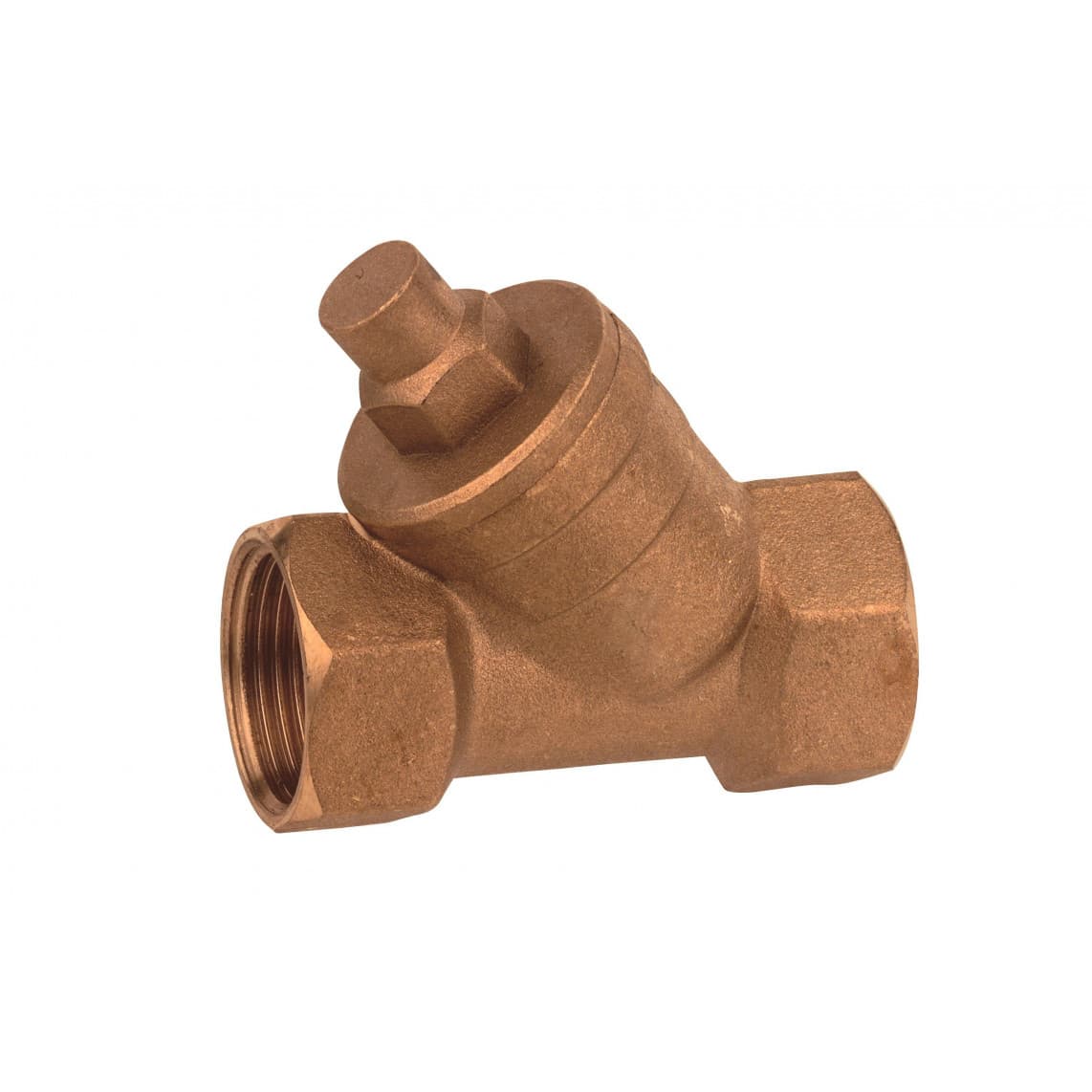 989197355 BR clapet anti-retour, 1" F x 1" F x 1", avec ressort