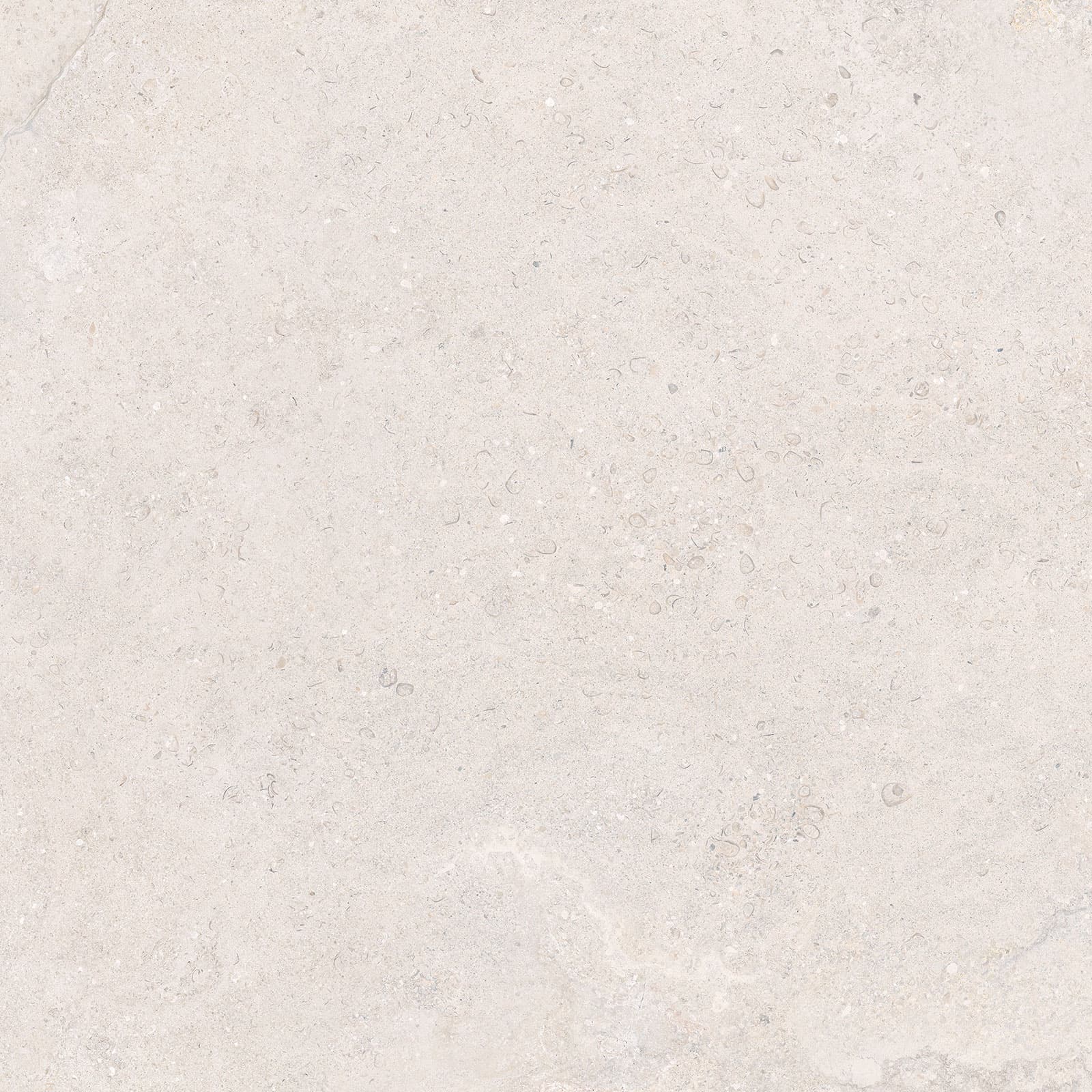DORSET WHITE 60x60N(20mm) REC