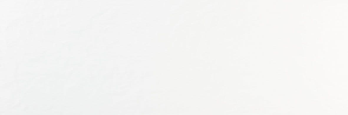 RLV MIA BIANCHI MATT 33,3X100 REC
