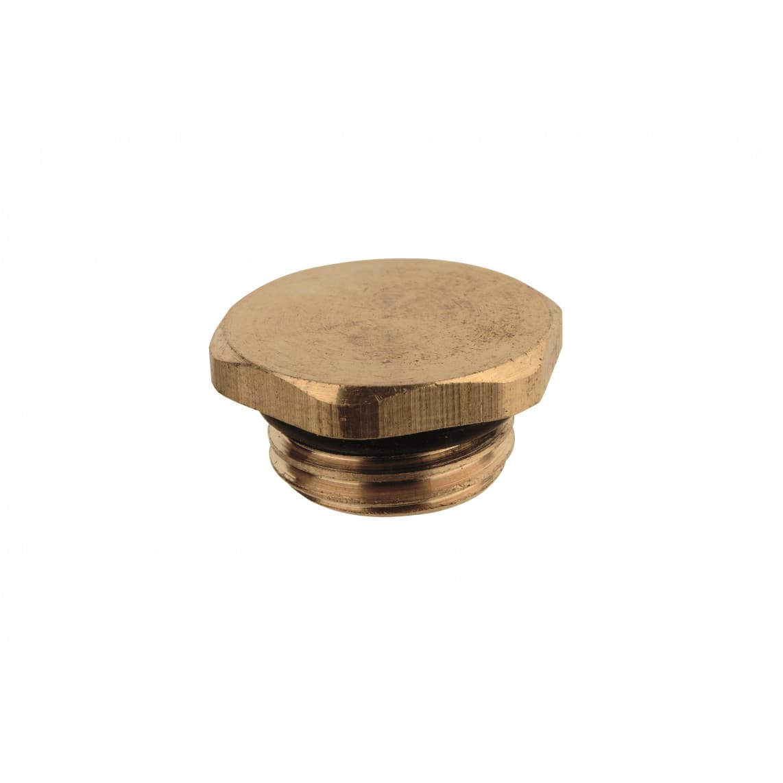 988579055 LT bouchon, vierge, 1/4" M, avec joint torique