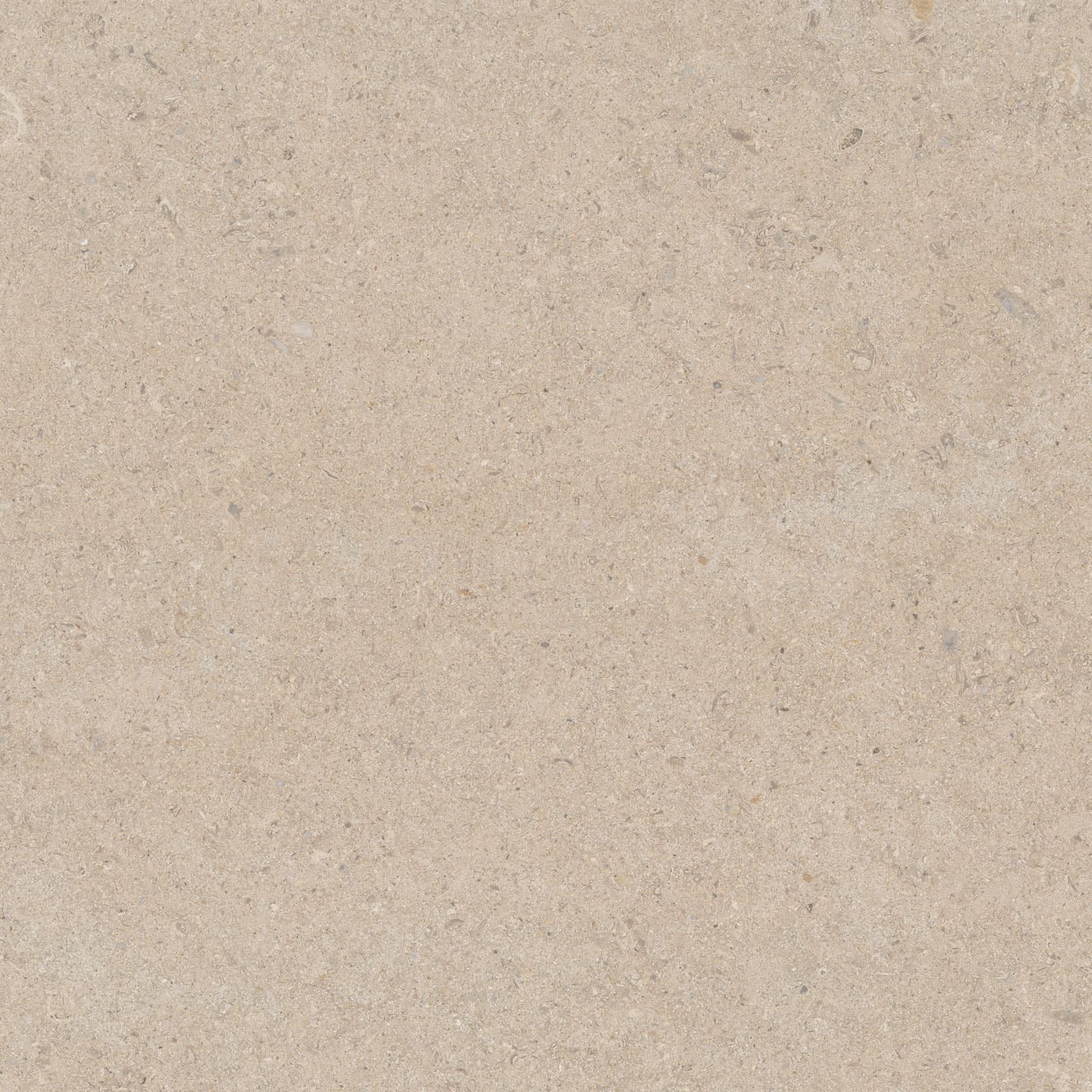 CALCARE SAND 60X60(T)C BRU