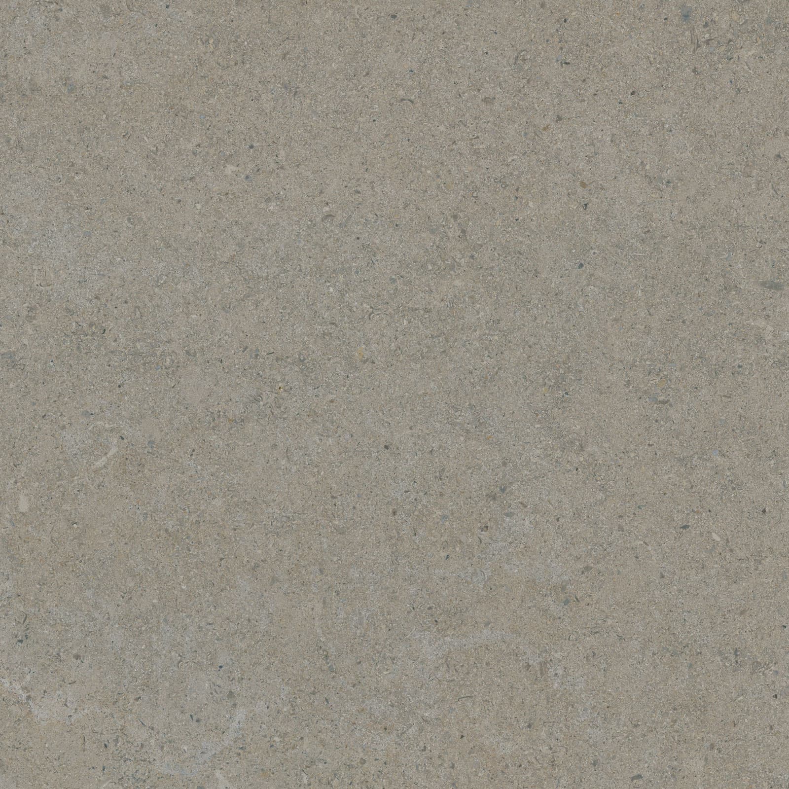 CALCARE GREIGE 60X60(T)C BRU