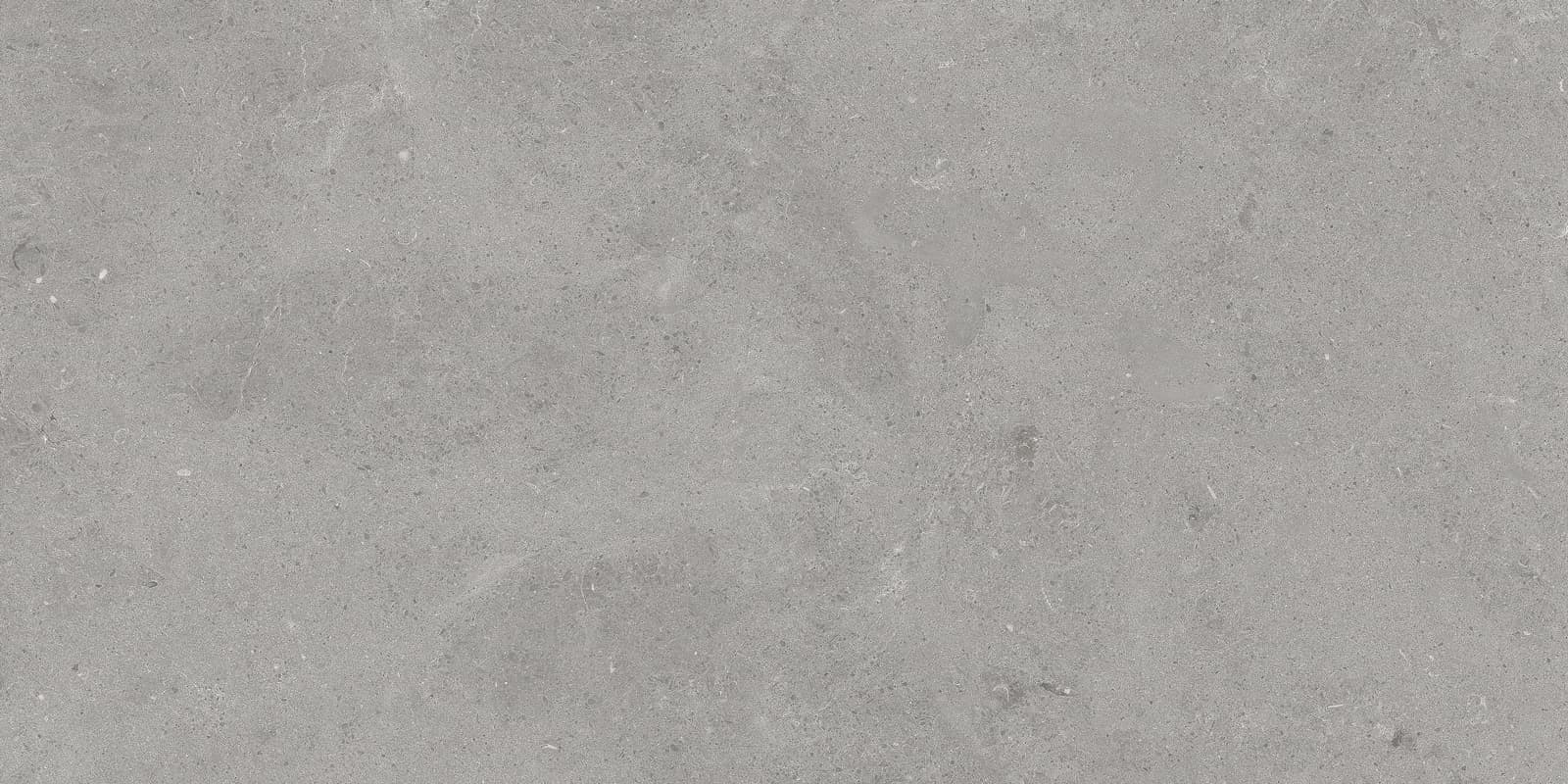 SERENASTONE SILVER 60×120(n) REC