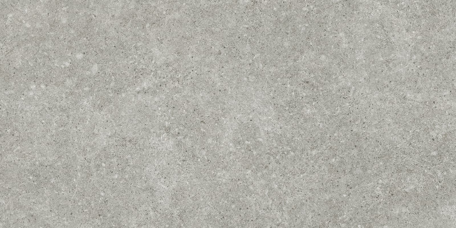 STALE SILVER 60X120 REC