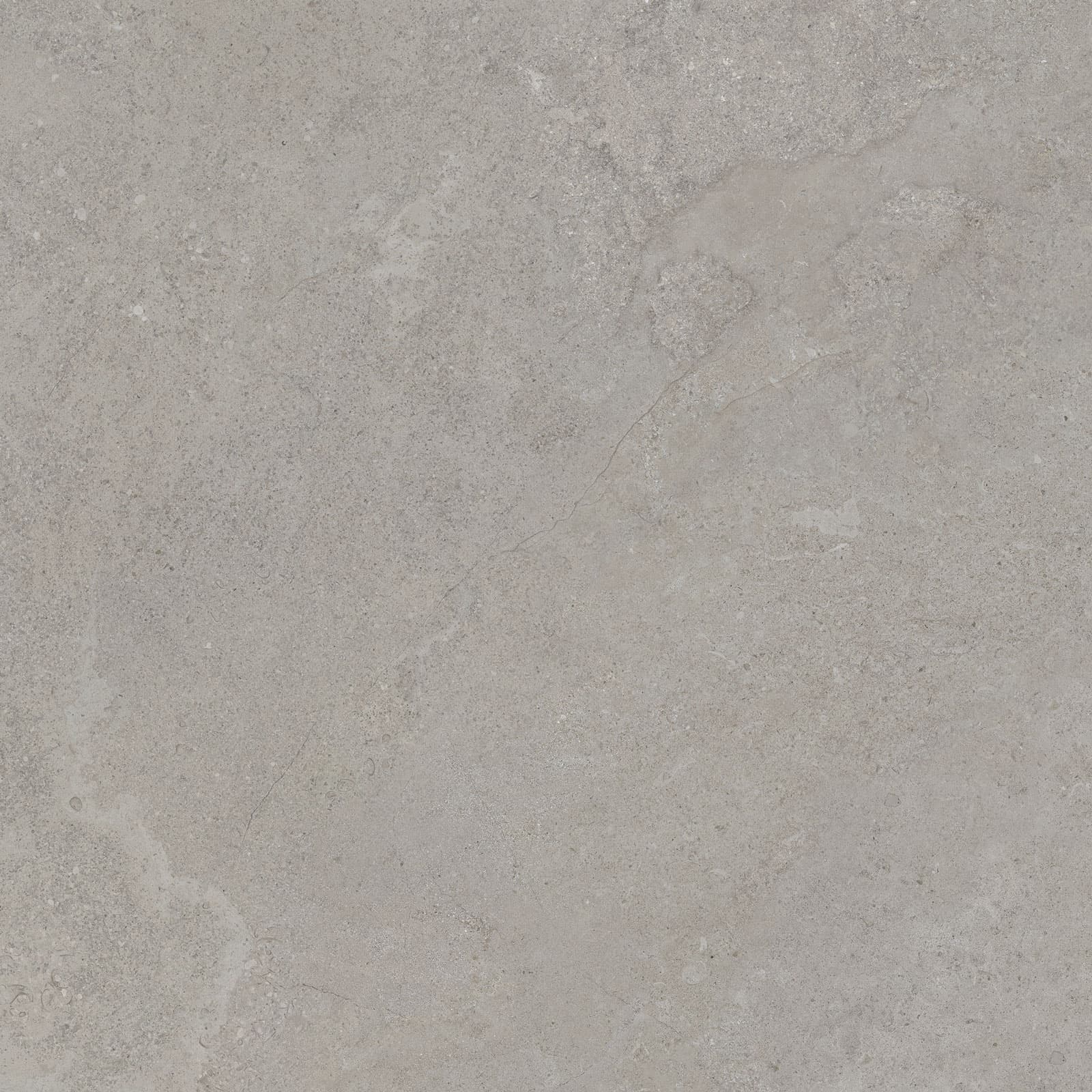 DORSET SILVER 60x60n(C) ADZ