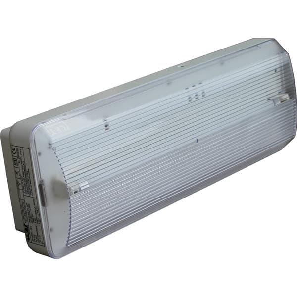 Bloc de secours Argos non permanent 150lm 8W apparent 1h