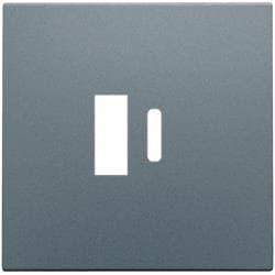 Set de finition pour double chargeur Usb - A et Usb - C intelligent Alu Steel