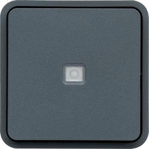 Poussoir inverseur lumineux Cubyko, NO + NF, Gris, 10A - 25