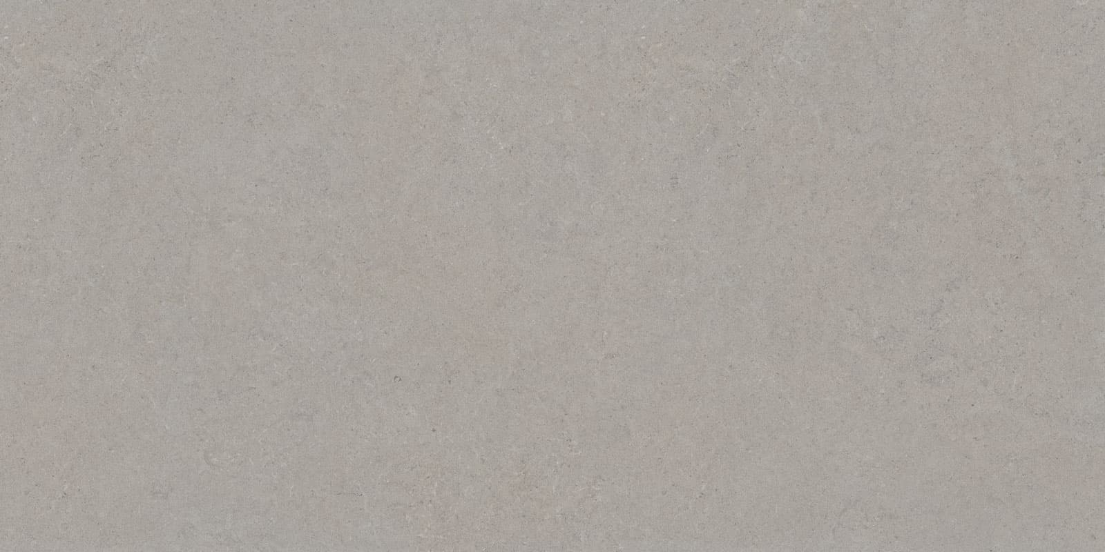 CALCARE SILVER 120×280(6mm) MATT