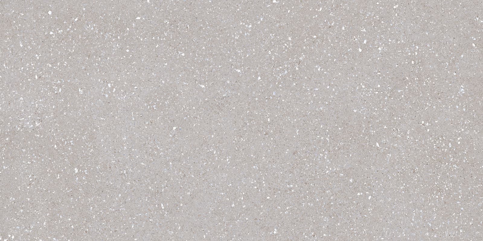 SASSY SILVER 60X120 REC