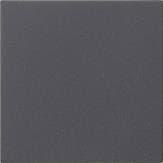 Module rapporté de commande System 3000 Anthracite System 55