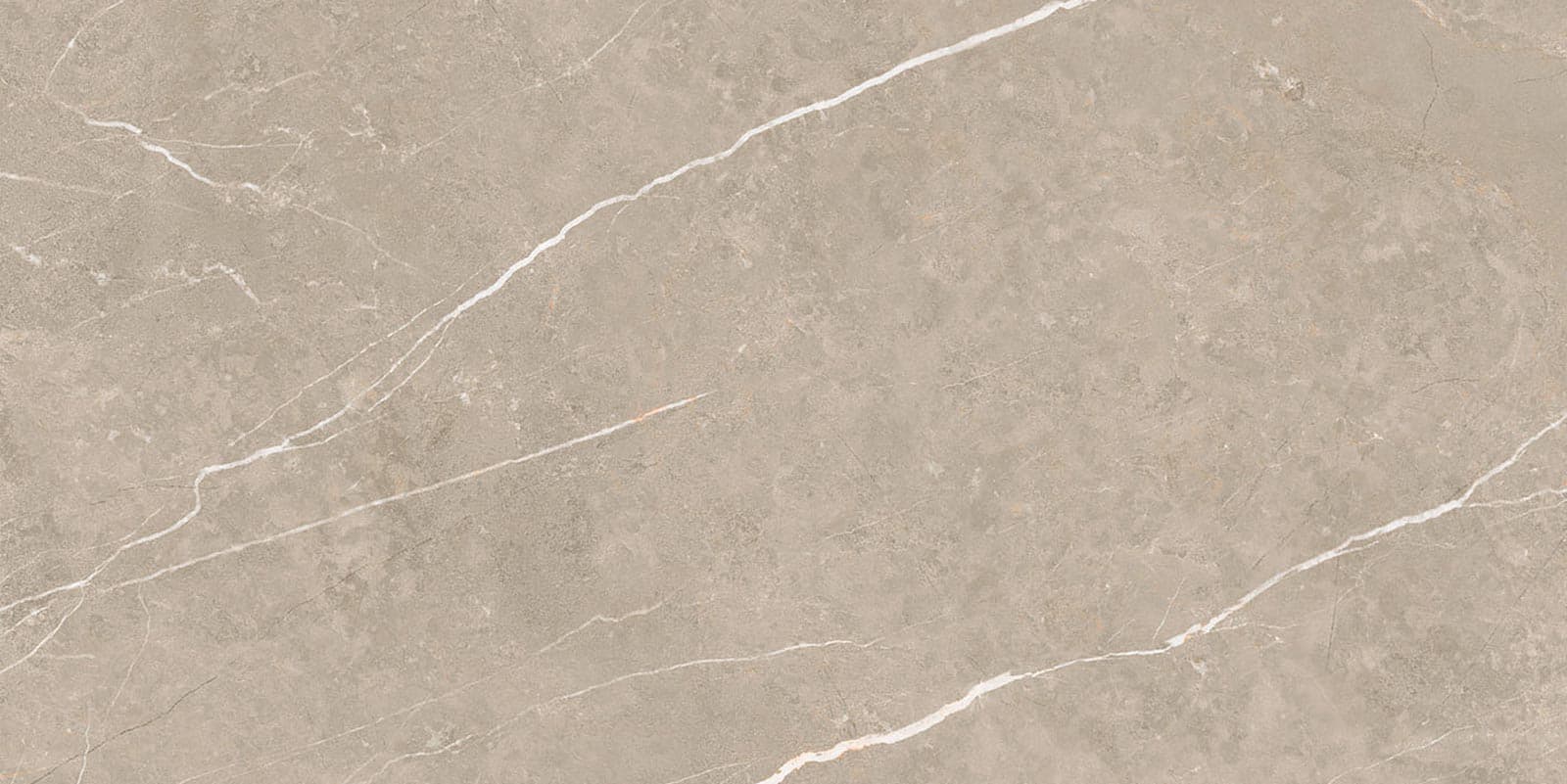 ELITE MATT GREIGE 30X60 (C) REC
