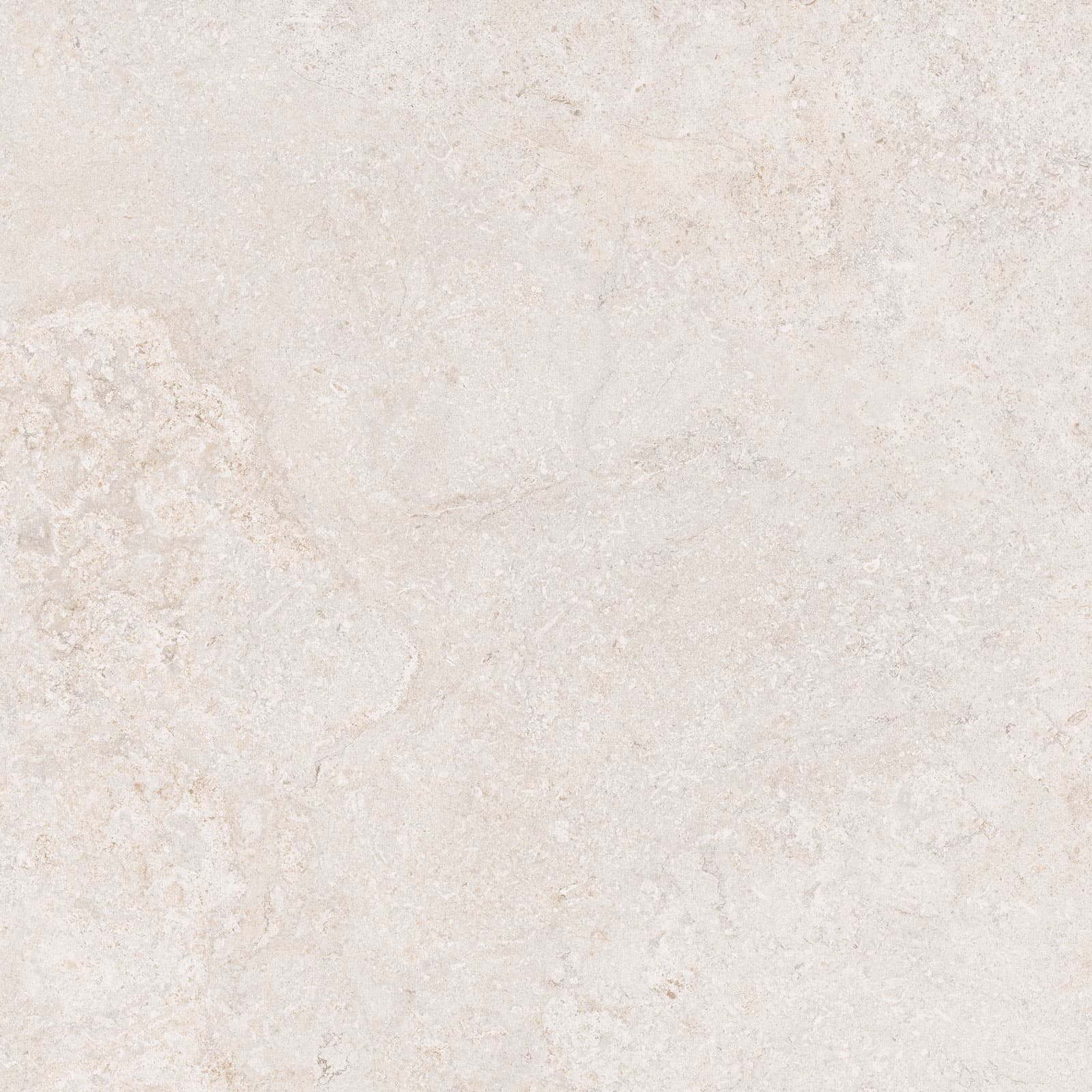 DORSET WHITE 60x60n(C) REC