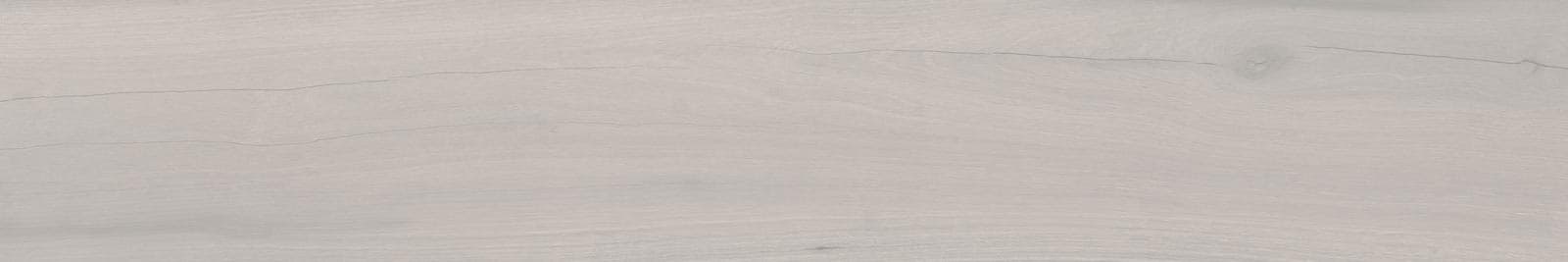 LOIRE SILVER 20×120(n) REC