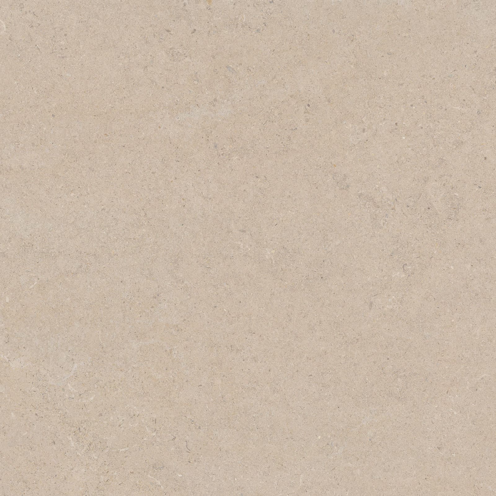CALCARE SAND 120×120(T) BRU