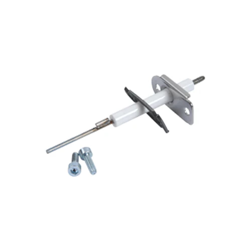 Viessmann electrode ionisation ni-ferral