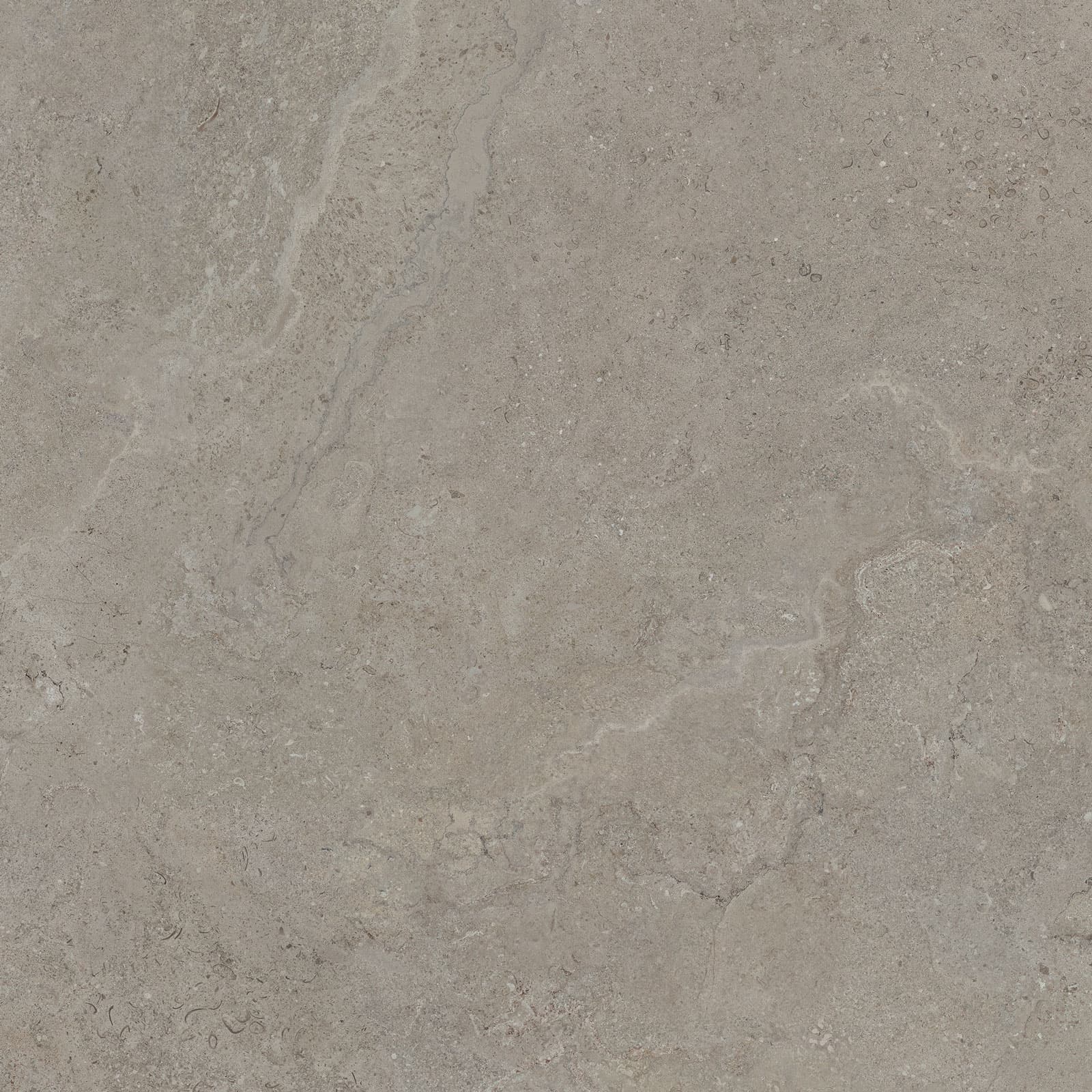 DORSET GREIGE 90×90(N) REC
