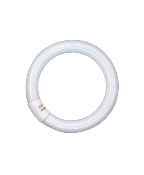Osram lampe TL L 32W / 840 C ronde lumilux Cool White G10q