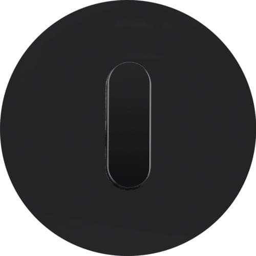 Plaque de recouvrement avec manette pour interrupteur rotatif / poussoir Serie R.classic Noir, brill
