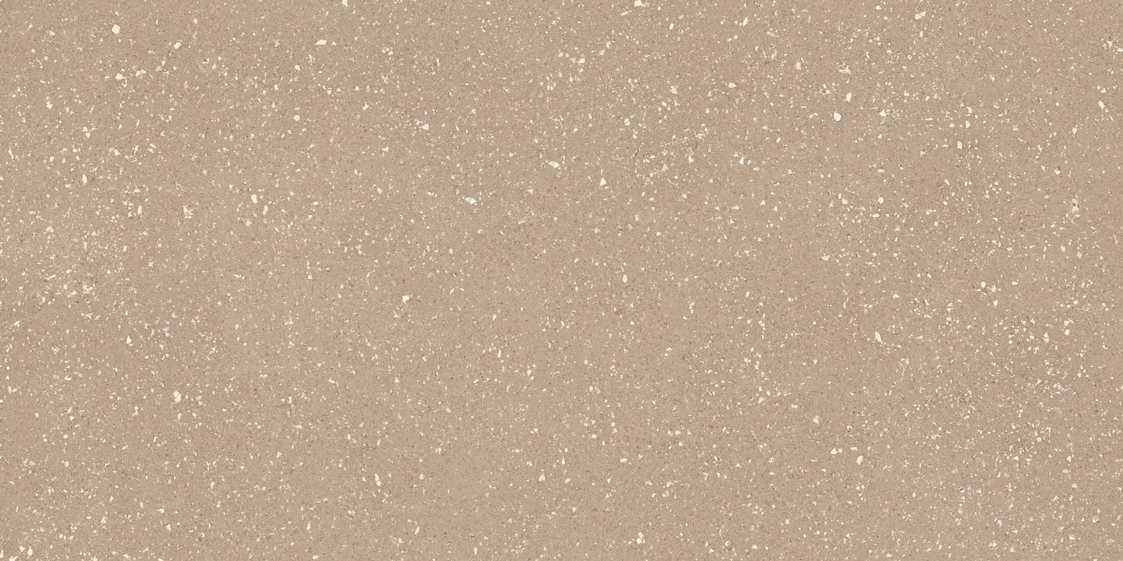 SASSY GREIGE 60X120 REC