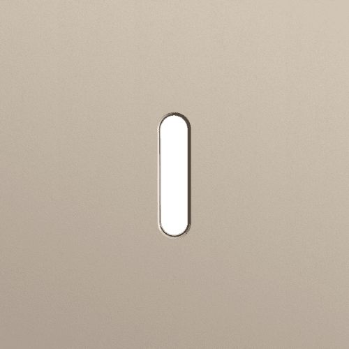 Plaque de recouvrement simple, pour des fonctions de commutation simple, couleur Niko Rocker steel champagne coated