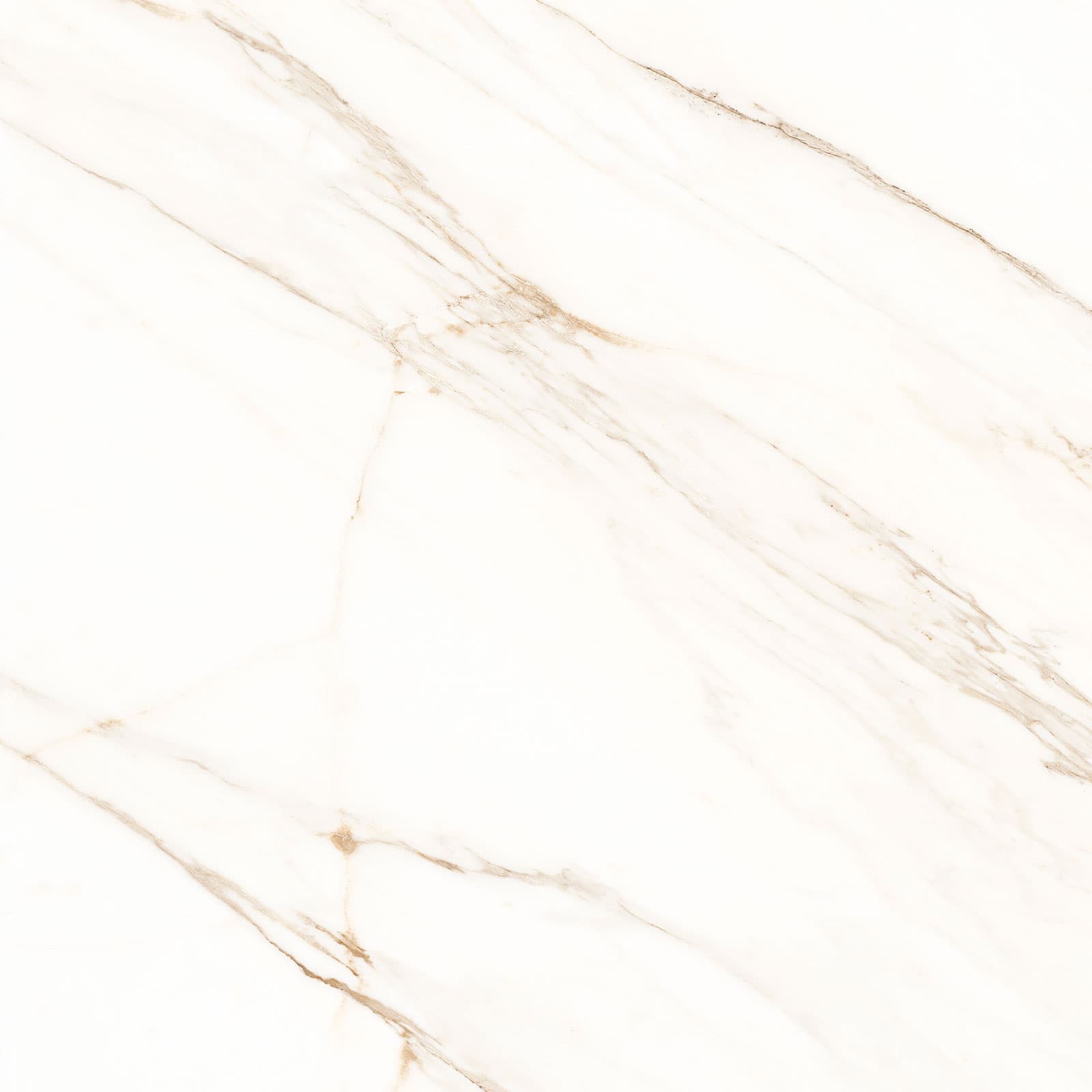 LUCCA WHITE 120×120(T) REC