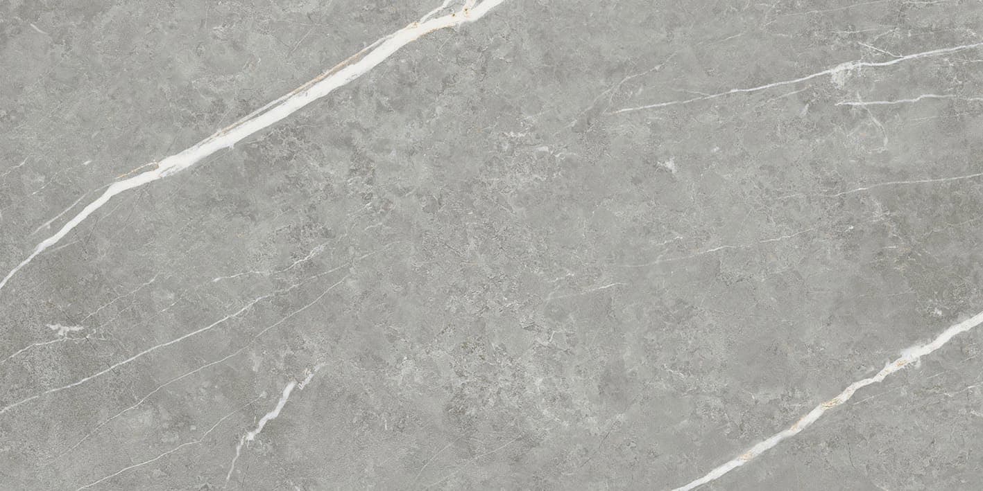 ELITE MATT GRAY 30X60 (C) REC