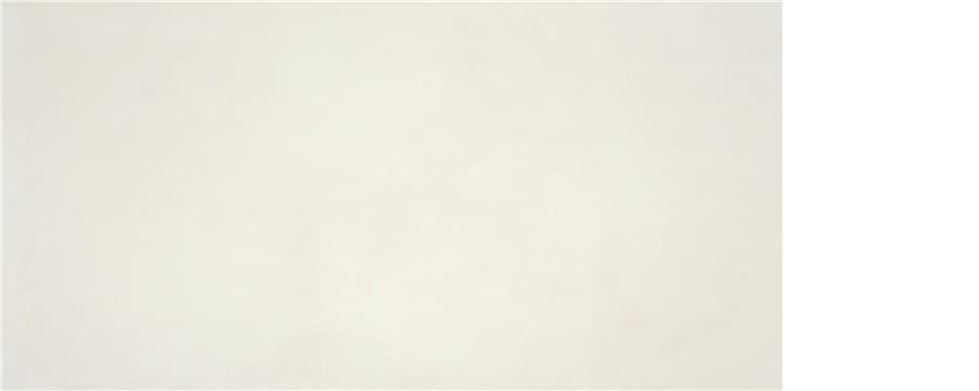 P.E. ALWAYS WHITE MT 60X120 RECT. SB
